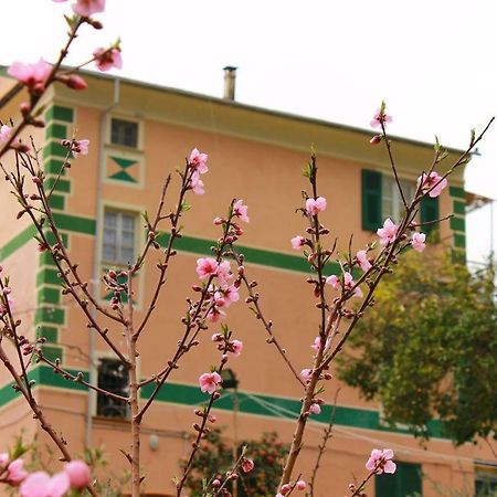 Appartamento Di Prestigio- Ca Da Lina - Deiva Marina Exterior photo